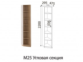 М25 Угловая секция в Тюмени - tyumen.magazin-mebel74.ru | фото