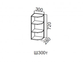 Ш300т/720 Шкаф навесной 300/720 (торцевой) в Тюмени - tyumen.magazin-mebel74.ru | фото