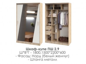 шкаф-купе ПШ-2.9 1500 Норд Белый жемчуг 1500 в Тюмени - tyumen.magazin-mebel74.ru | фото