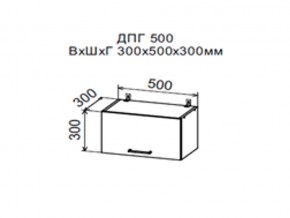 Шкаф верхний ДПГ500 горизонтальный в Тюмени - tyumen.magazin-mebel74.ru | фото