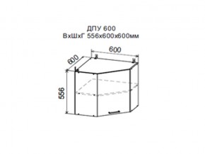 Шкаф верхний ДПУ600 угловой в Тюмени - tyumen.magazin-mebel74.ru | фото